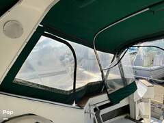 Sea Ray 390 Express Cruiser - picture 5