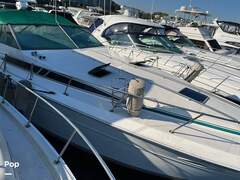 Sea Ray 390 Express Cruiser - picture 4