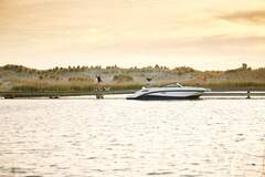 Sea Ray SDX 250 - picture 5