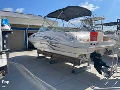 Sea Ray 270 Sundeck - picture 3