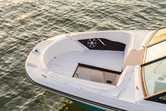 Sea Ray SPX 190 - picture 5