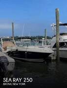 Sea Ray 250 Amberjack - picture 1