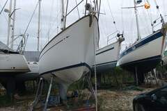 Classic Sailing Yacht - zdjęcie 9