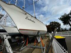 NEBE BOAT Works Shearwater 39 - picture 1