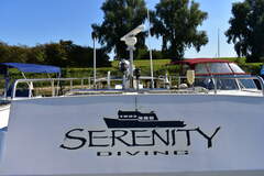 One-off Serenity - picture 9