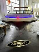 Sea Ray 210 SPX - picture 7