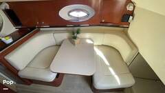 Sea Ray 290 Amberjack - picture 6