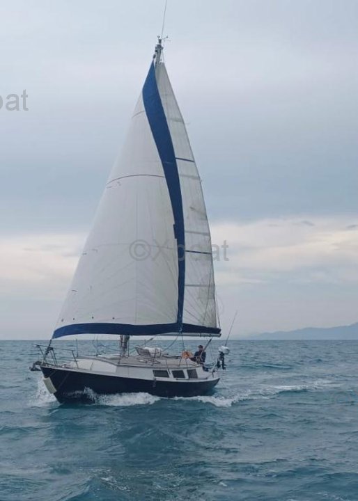 Tenten Sailboat from the Vitriano Shipyard in a - image 2