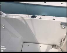 Cruisers Yachts 4280 Express Bridge - picture 6