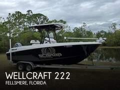 Wellcraft 222 Fisherman - resim 1
