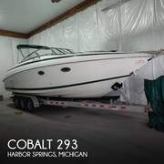 Cobalt 293 - fotka 1