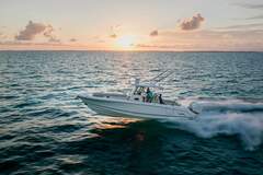 Boston Whaler Outrage 330 - picture 1