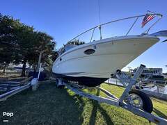 Sea Ray 290 Amberjack - picture 10