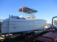 World Cat 266SF - picture 2