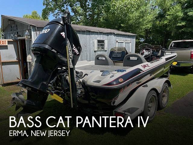 Bass Cat Pantera IV