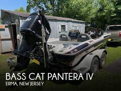 Bass Cat Pantera IV - фото 1
