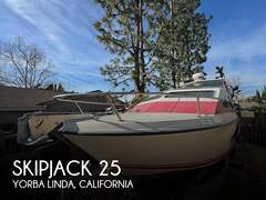 Skipjack Cabin Cruiser 25 - picture 1