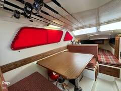 Skipjack Cabin Cruiser 25 - picture 4