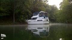 Carver 370 Aft Cabin - picture 2