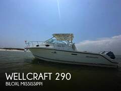 Wellcraft 290 Coastal - resim 1