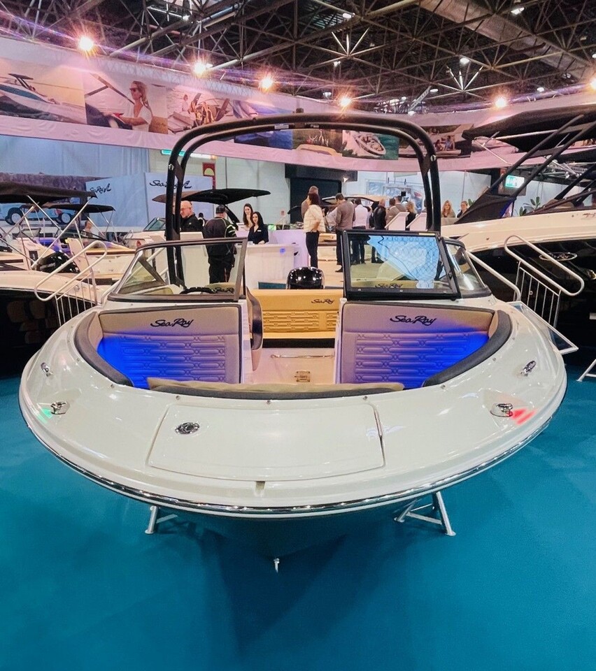 Sea Ray 190 SPO Wakeboard Tower - image 2