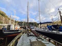 LOOE Lugger - picture 3