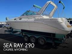 Sea Ray 290 Sundancer - imagen 1