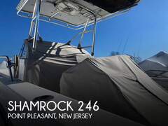 Shamrock 246 Adventurer - foto 1