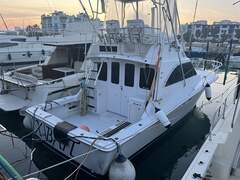 Luhrs 32 Fly - immagine 2