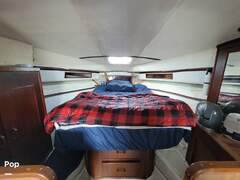 Sea Ray 340 Express - picture 5