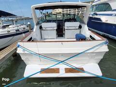 Sea Ray 340 Express - picture 7