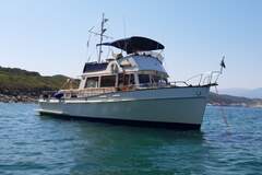 Grand Banks 42' Classic - picture 2