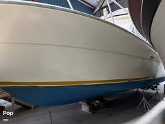 Viking 35 Convertible - picture 2