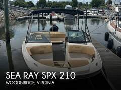 Sea Ray SPX 210 - fotka 1