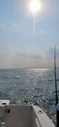 Sea Ray Amberjack 270 - picture 6