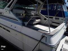 Sea Ray 390 Express Cruiser - picture 8