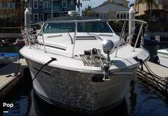 Sea Ray 390 Express Cruiser - picture 3