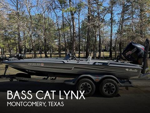 Bass Cat Lynx