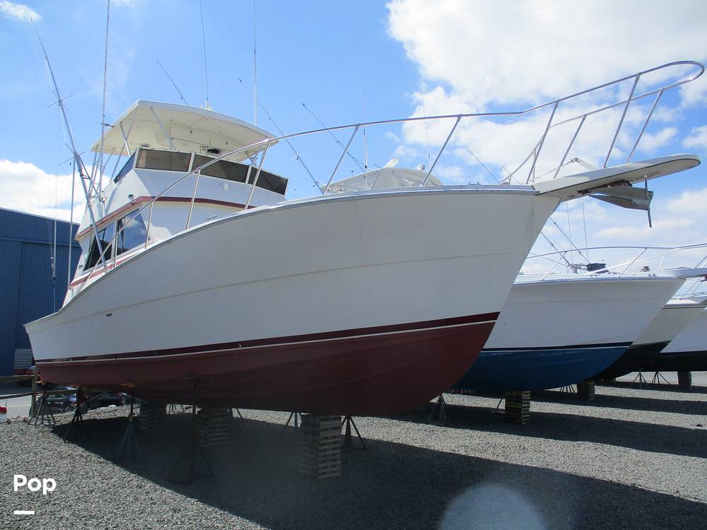 Viking 41 Convertible - picture 2