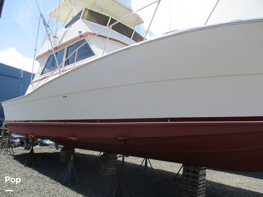 Viking 41 Convertible - picture 3