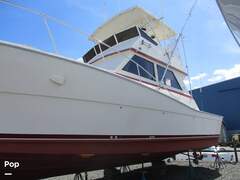 Viking 41 Convertible - picture 6