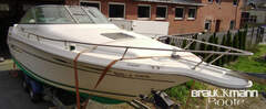 Sea Ray 270 Weekender - picture 7