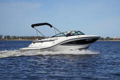 Sea Ray 19 SPX - picture 4