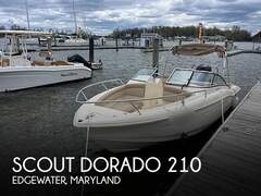 Scout Dorado 210 - imagen 1