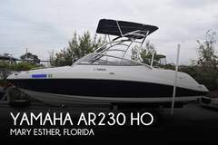 Yamaha AR230 HO - фото 1