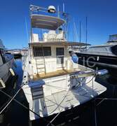 Riviera Marine 43 Fly - picture 2
