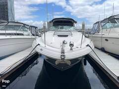 Sea Ray 340 Sundancer - Dinghy Included - picture 5