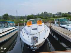 Sea Ray 390 Express Cruiser - picture 9