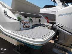 Sea Ray SDX 250 - picture 8