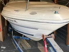 Sea Ray 215 Express Cruiser - picture 3